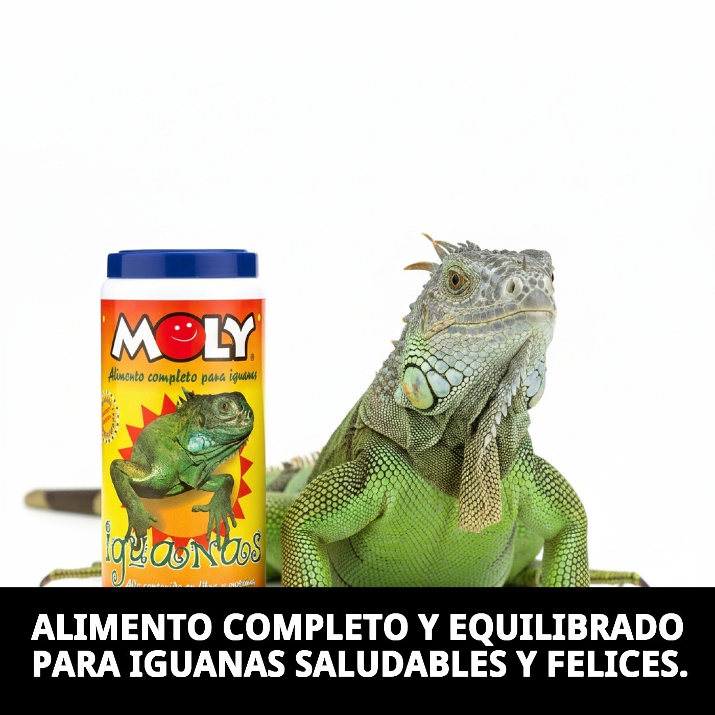 MOLY IGUANAS  360 gr / 1 LITRO