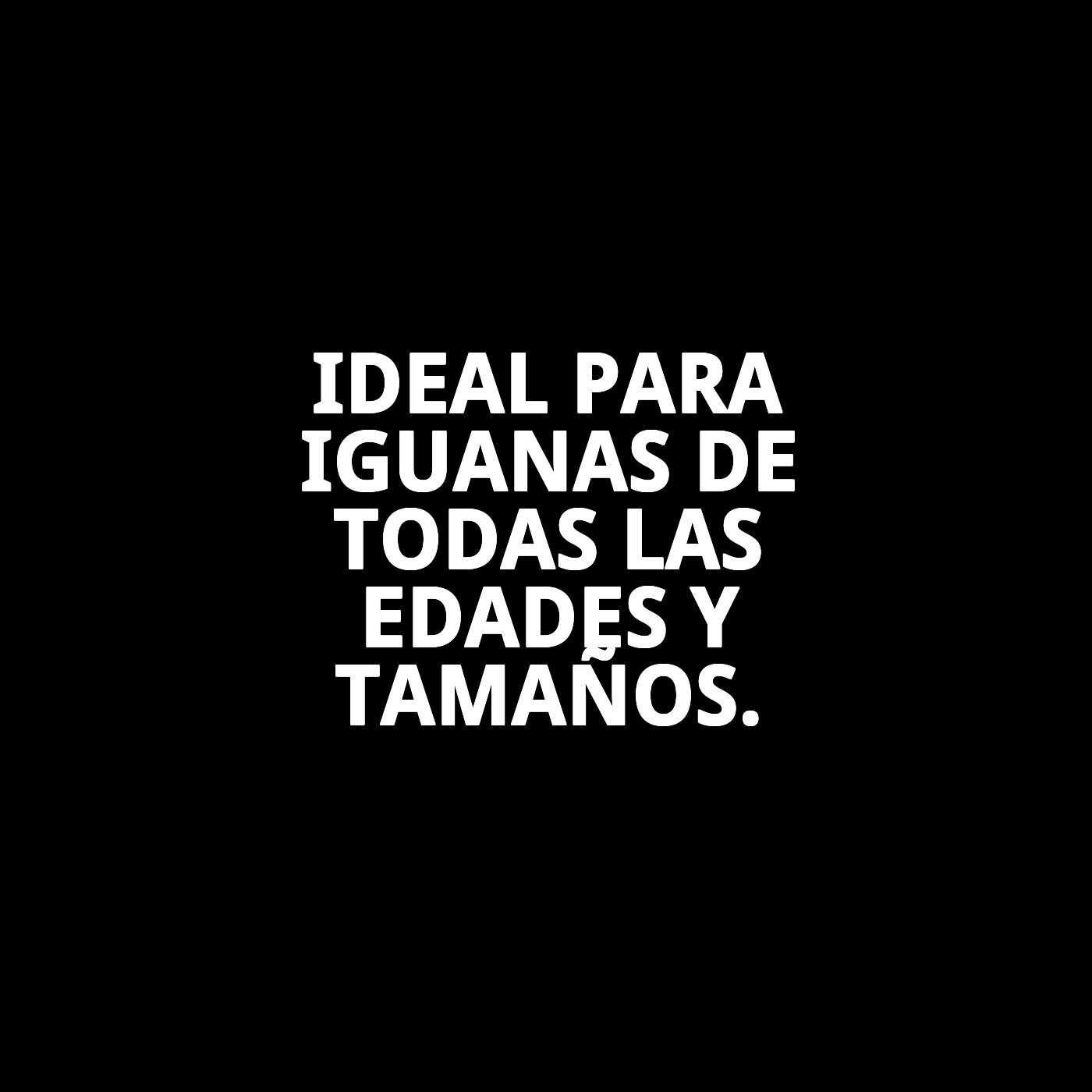 MOLY IGUANAS  360 gr / 1 LITRO