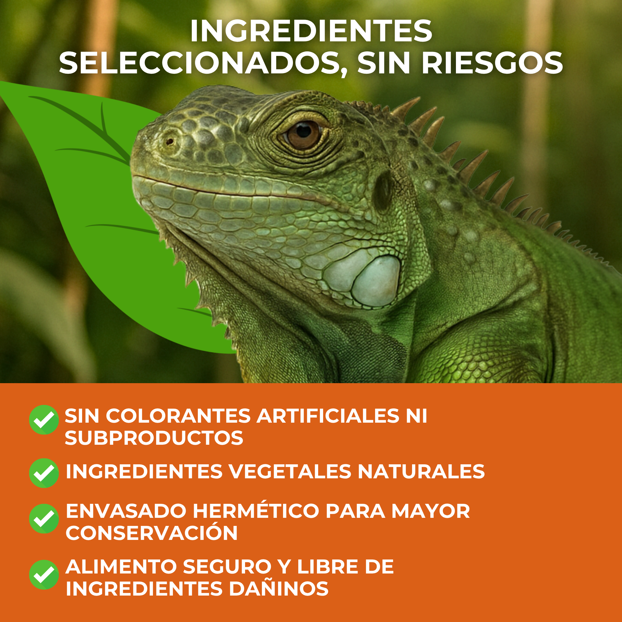 MOLY IGUANAS  3kg PROFESIONAL 8,8 L