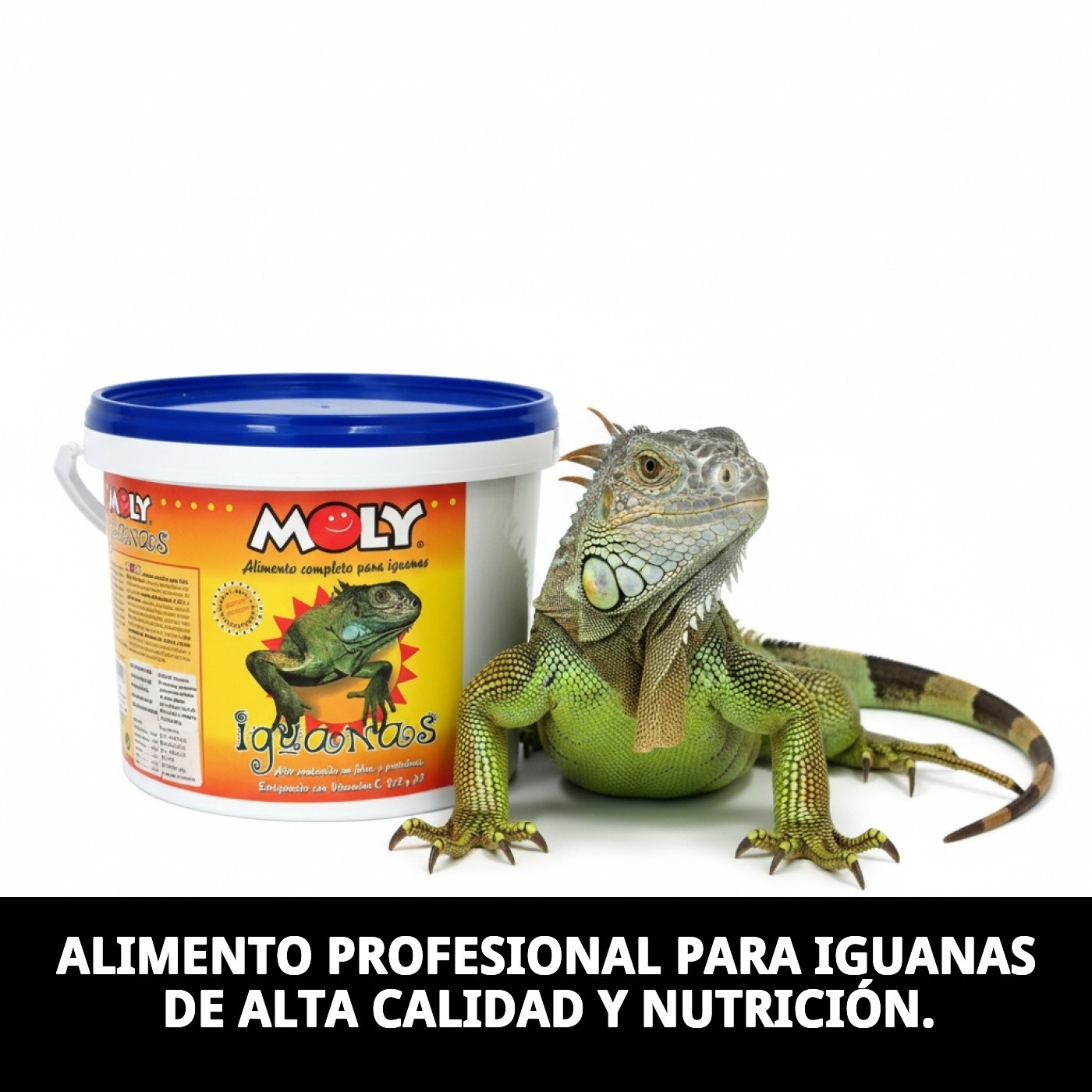 MOLY IGUANAS  3kg PROFESIONAL 8,8 L
