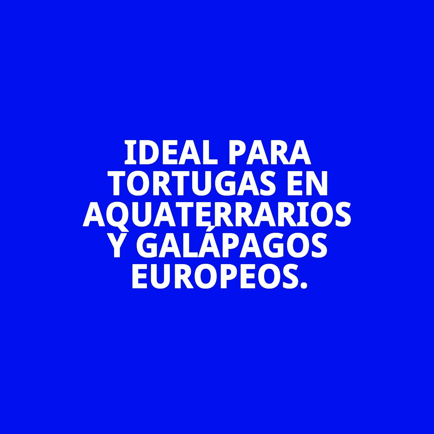 MOLY MENU TORTUGAS 1.5 KG