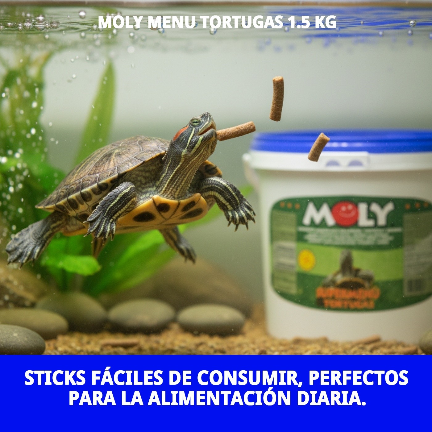 MOLY MENU TORTUGAS 1.5 KG