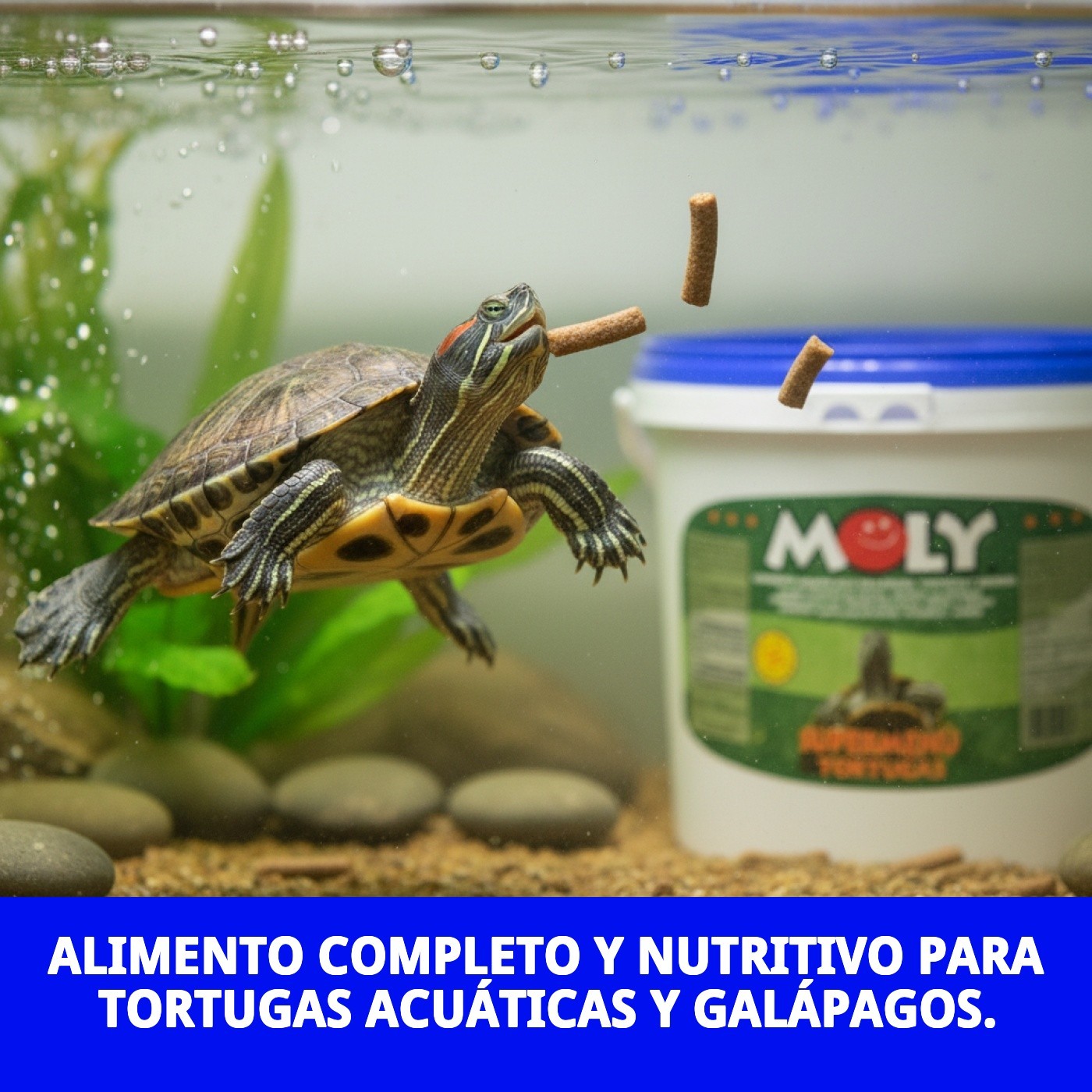 MOLY MENU TORTUGAS 1.5 KG