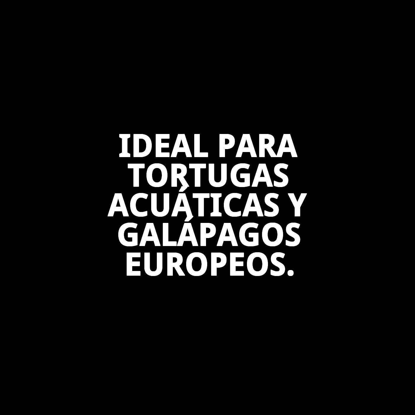 MOLY MENU TORTUGAS 40 gr 120 ML-Nutrición Equilibrada