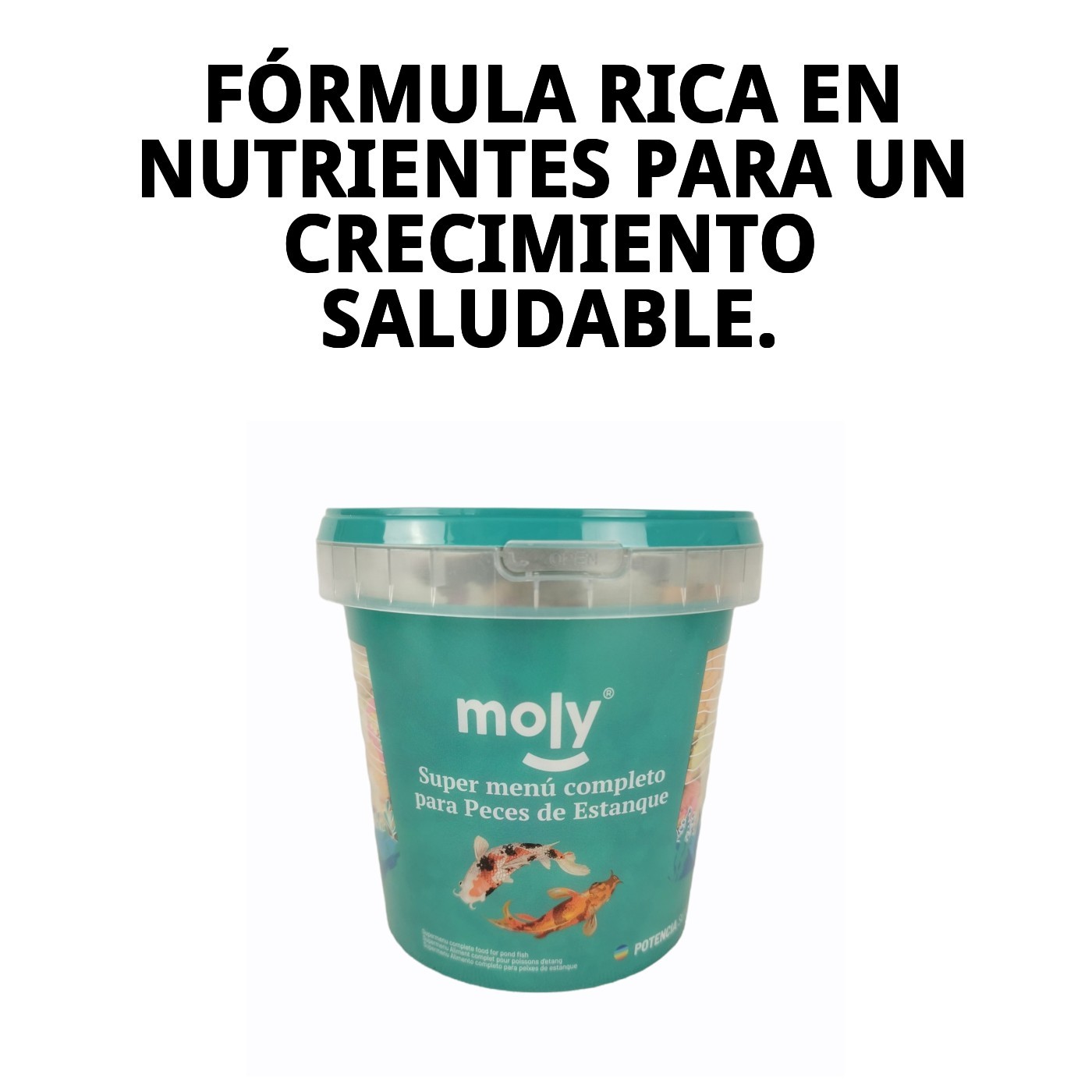 MOLY SUPER-MENU ESTANQUE 140 gr 1180ML