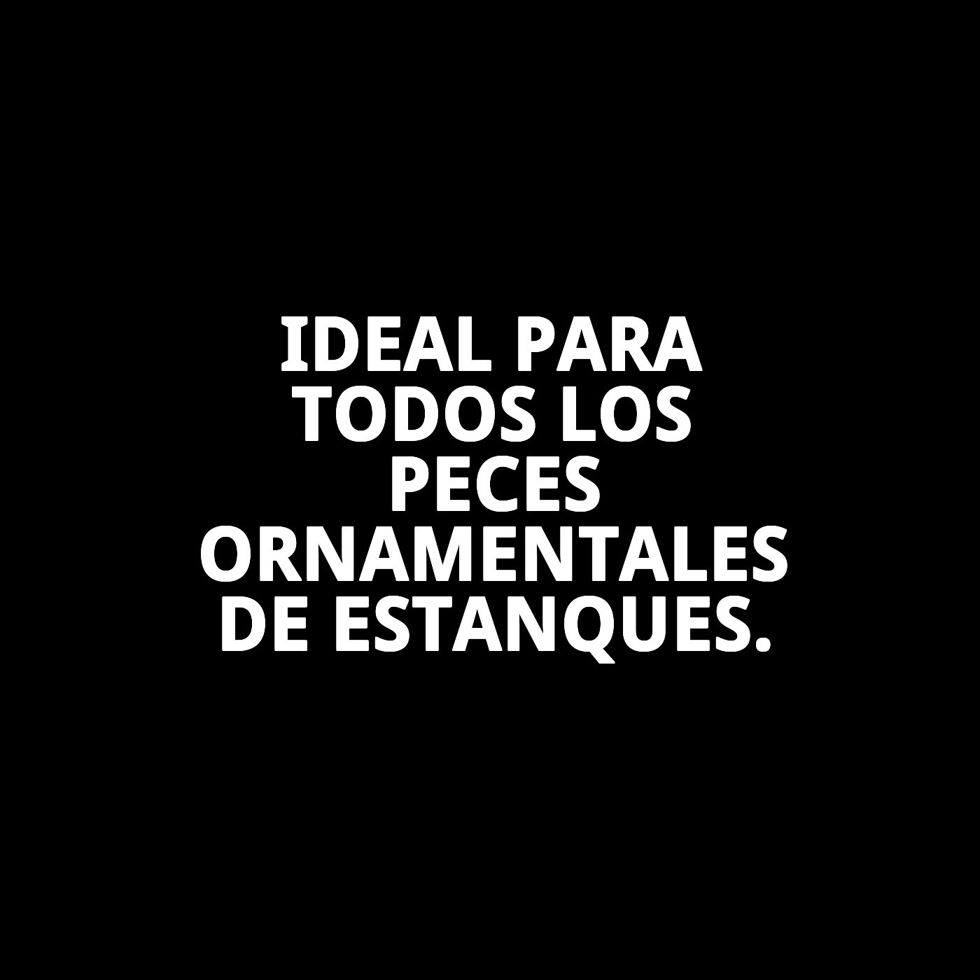 MOLY SUPER-MENU ESTANQUE 140 gr 1180ML