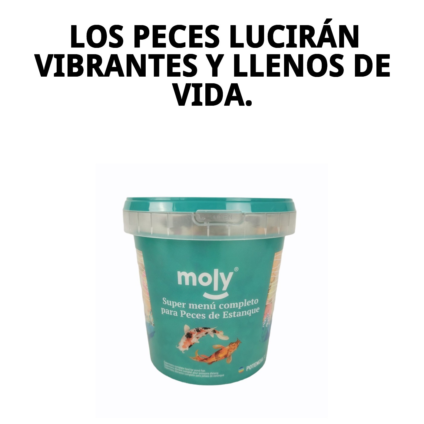 MOLY SUPER-MENU ESTANQUE 140 gr 1180ML