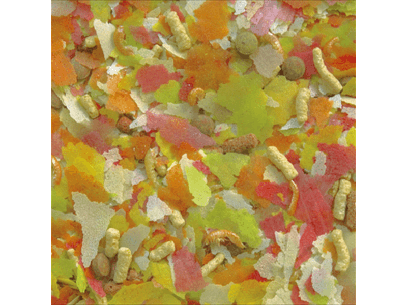 MOLY SUPER-MENU ESTANQUE 600 gr/ 5.5 L