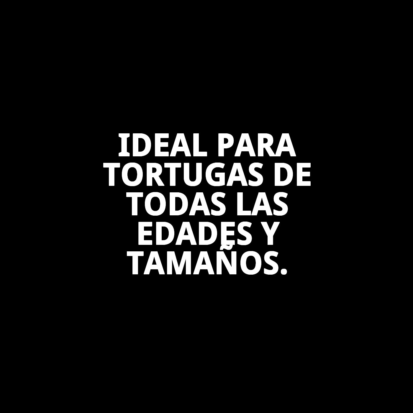 MOLY TORTUGAS TERRESTRES 2,5 KG