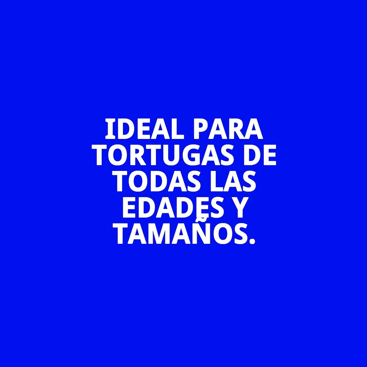 MOLY TORTUGAS TERRESTRES 360gr / 1 LITRO