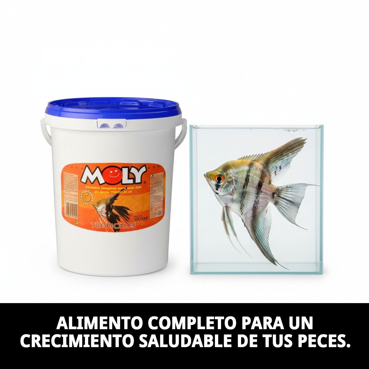 MOLY TROPICALES 1 kg