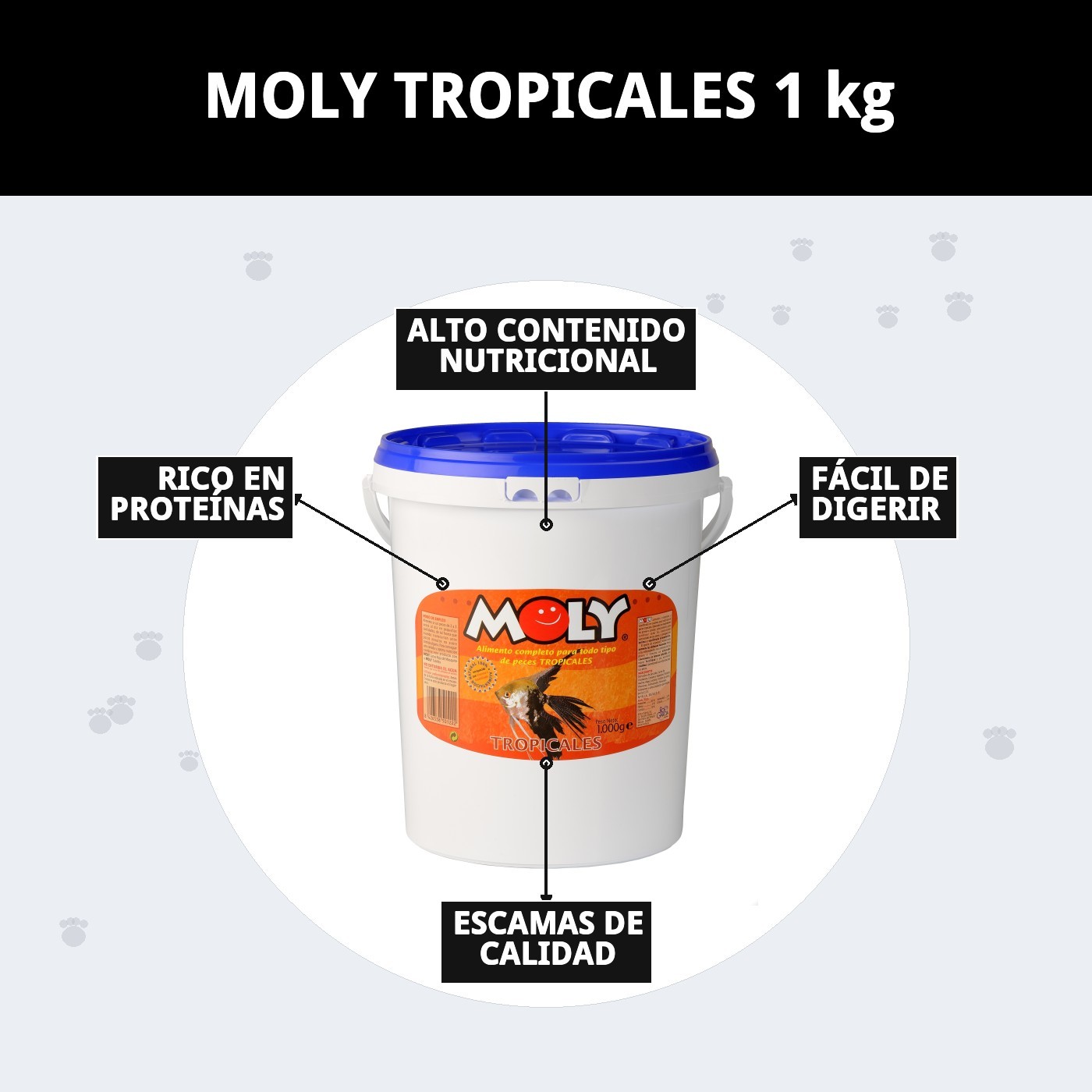 MOLY TROPICALES 1 kg