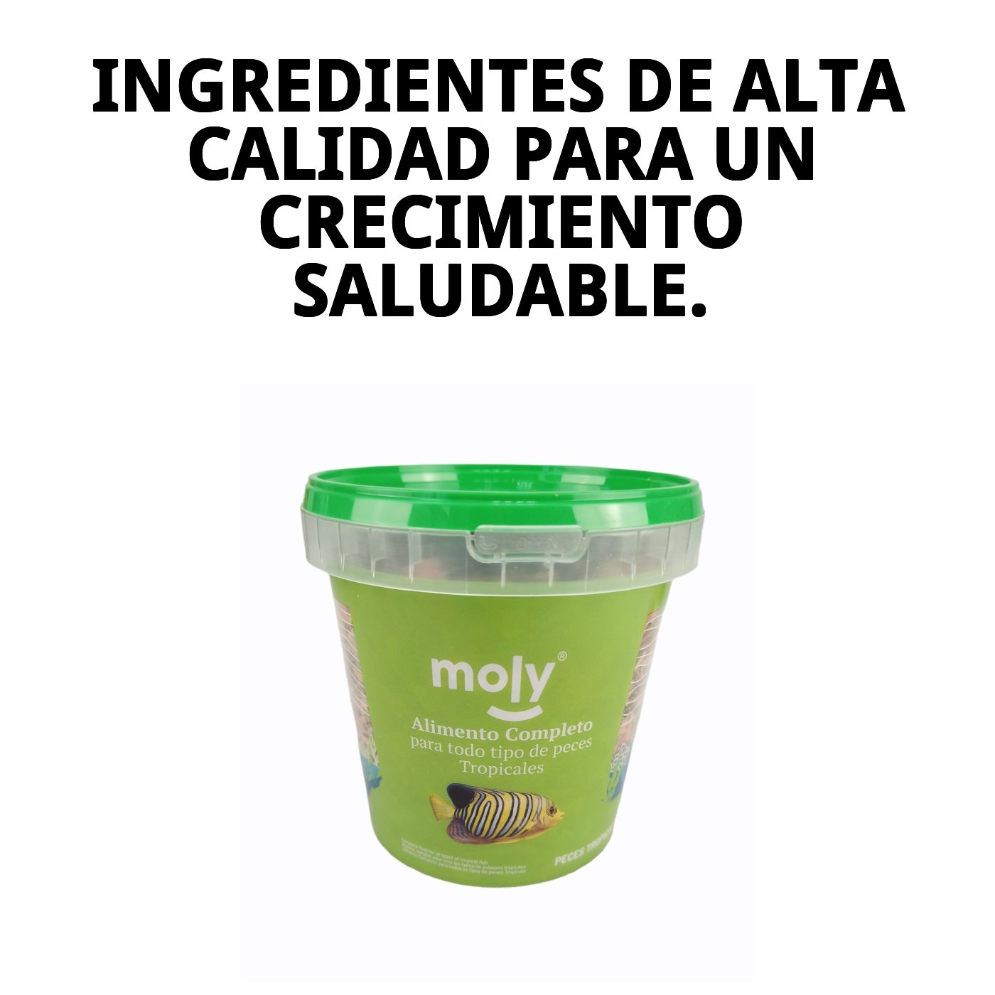 MOLY TROPICALES 200 gr 1180ML