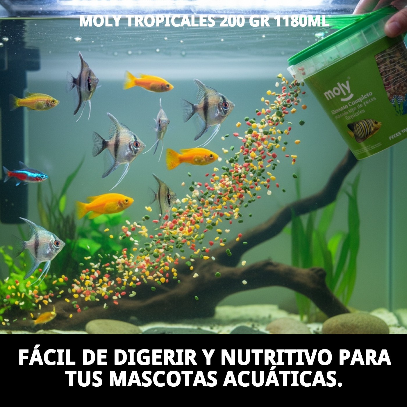 MOLY TROPICALES 200 gr 1180ML