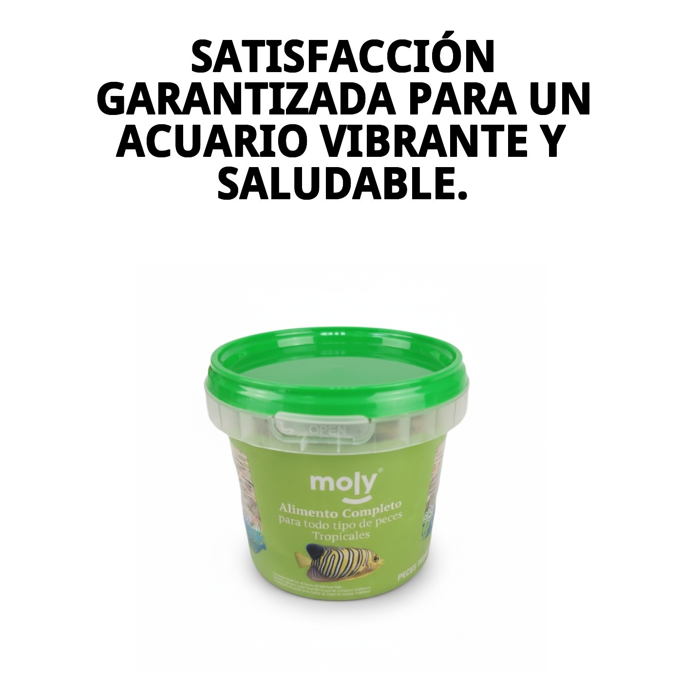 MOLY TROPICALES 55 gr 365 ML