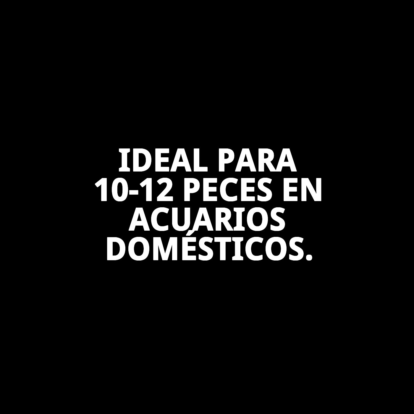 MOLY VACACIONES STICK