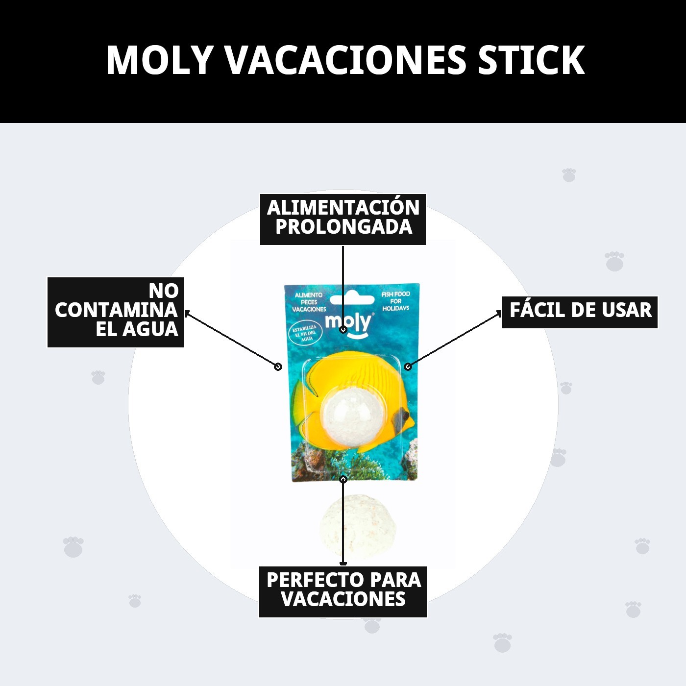 MOLY VACACIONES STICK