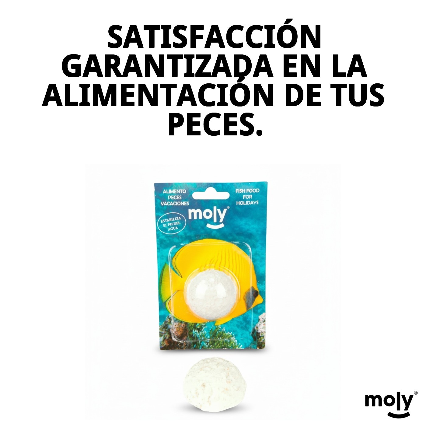 MOLY VACACIONES STICK
