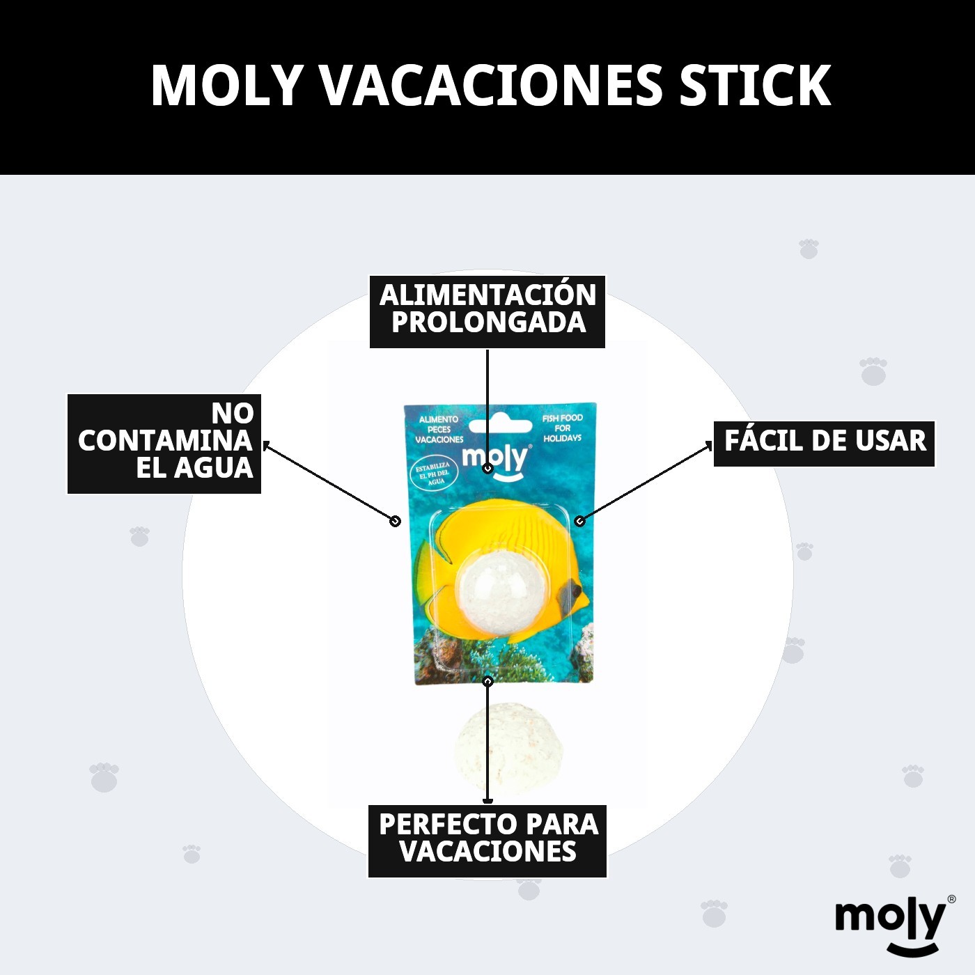 MOLY VACACIONES STICK