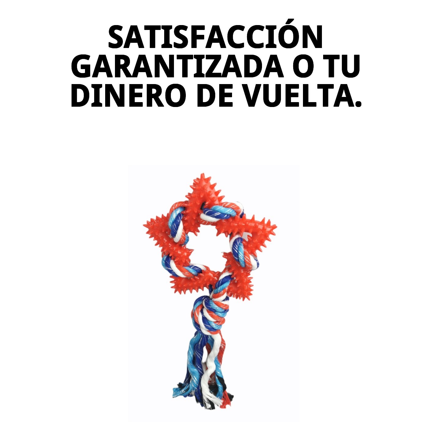 Mordedor Estrella Dental TPR 26 cm Moly | Juguete Resistente que Limpia Dientes y Masajea Encías