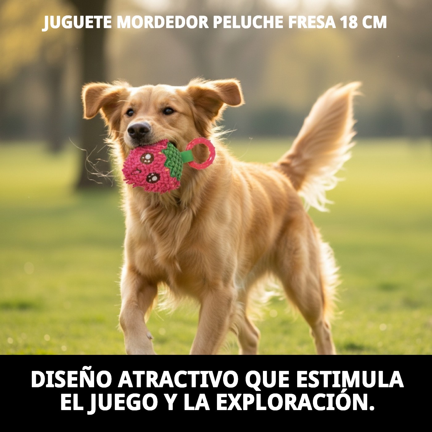 Mordedor Fresa para Perros 18 cm Moly | Peluche Suave con Sonido y Textura Estimulante