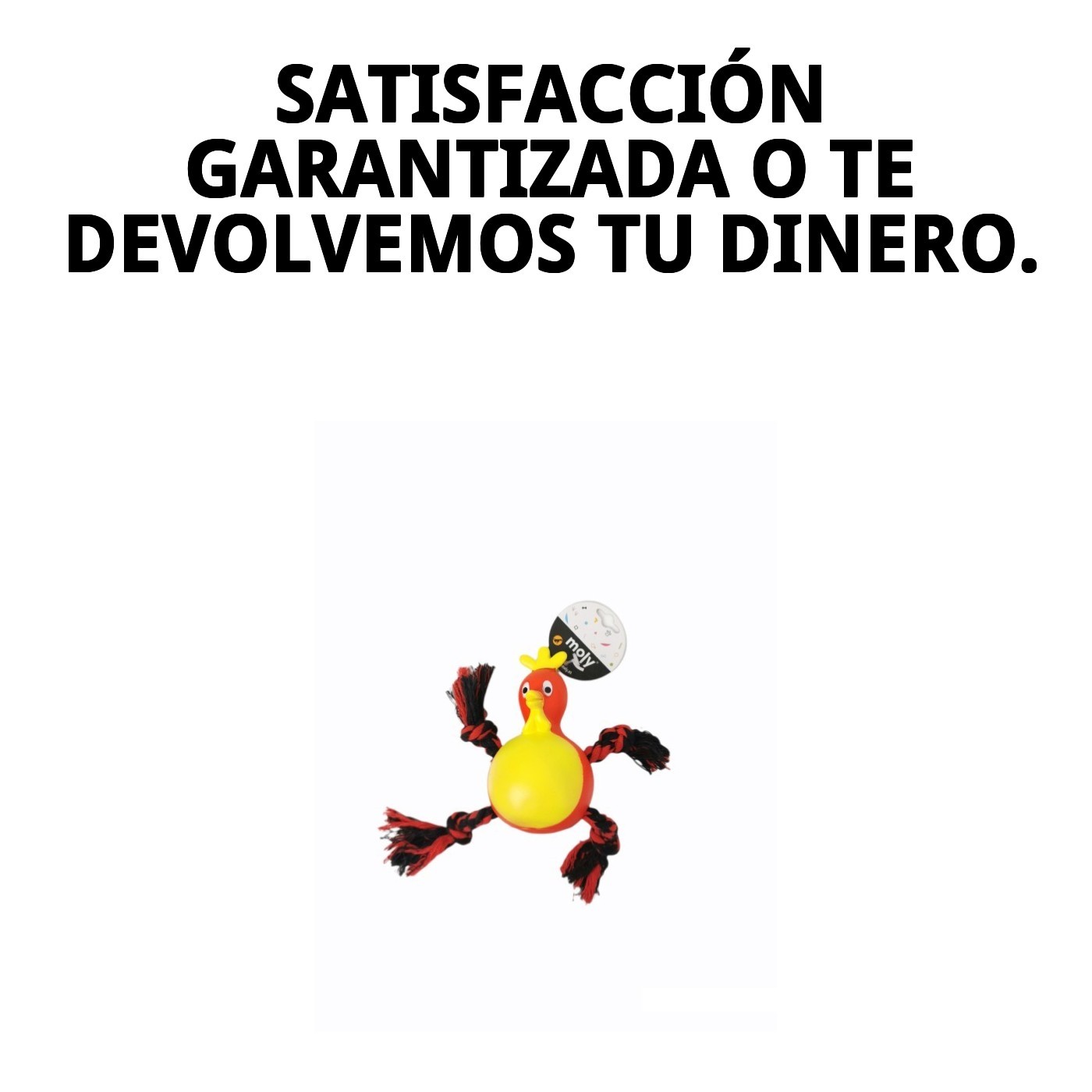 Mordedor Gallina para Perros 21 cm Moly | Juguete Resistente, Divertido y Estimulante