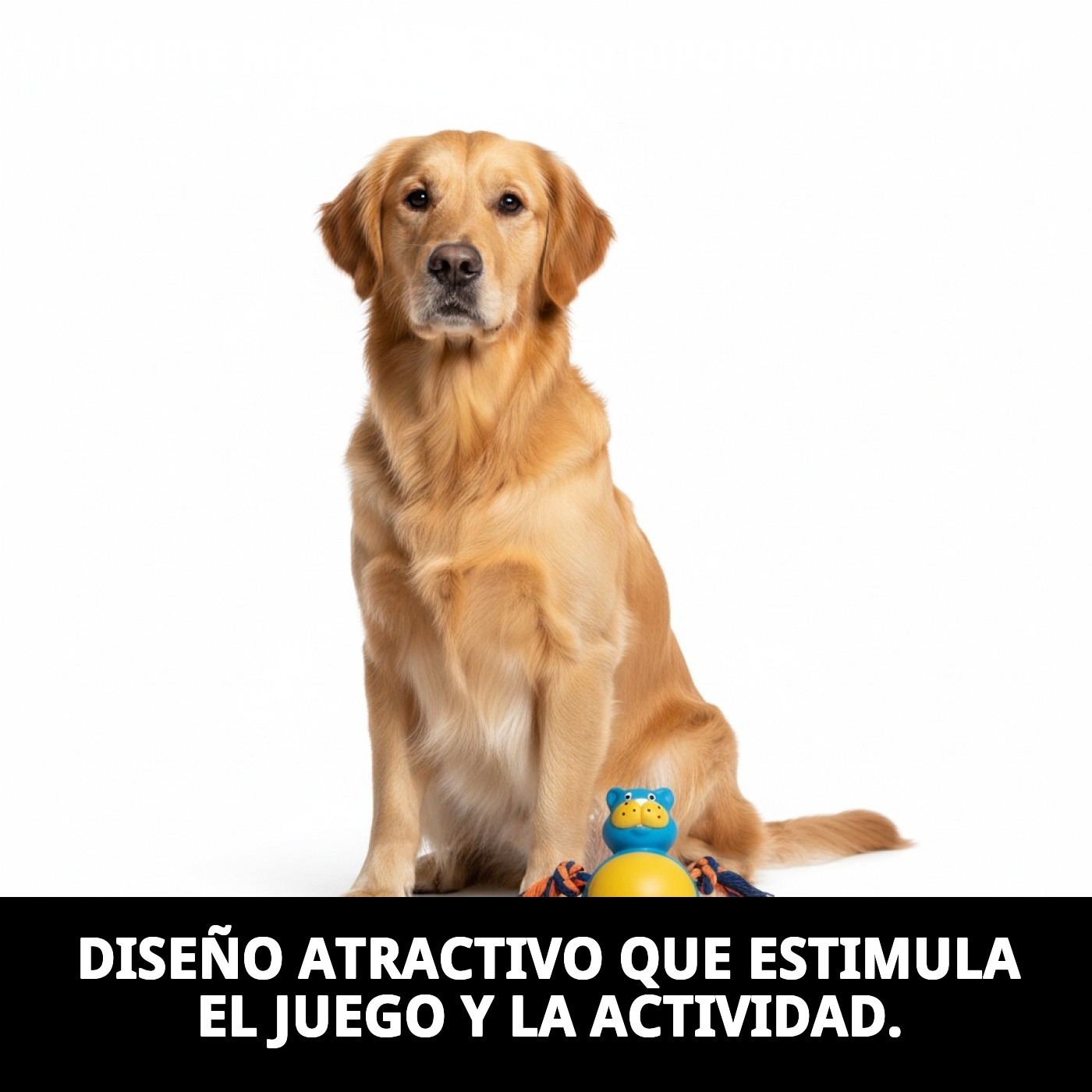 Mordedor Hipopótamo para Perros 21 cm Moly | Juguete Resistente y Estimulante para Masticar