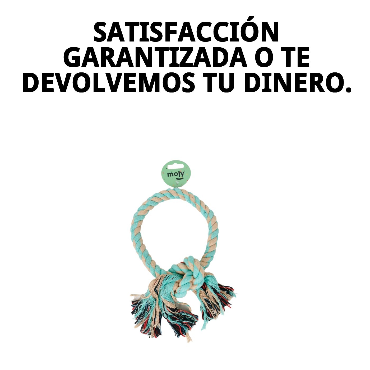 Mordedor Interactivo Redondo Avocat con Nudo Moly | Juguete Resistente y Estimulante para Perros