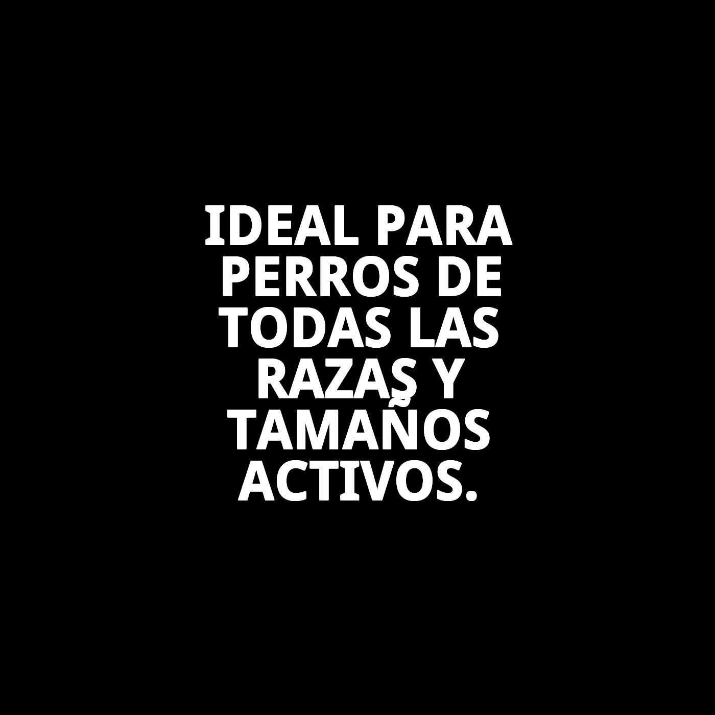 Mordedor Lanzadera WOW 40 cm Moly | Juguete Resistente para Lanzar, Morder y Jugar al Aire Libre