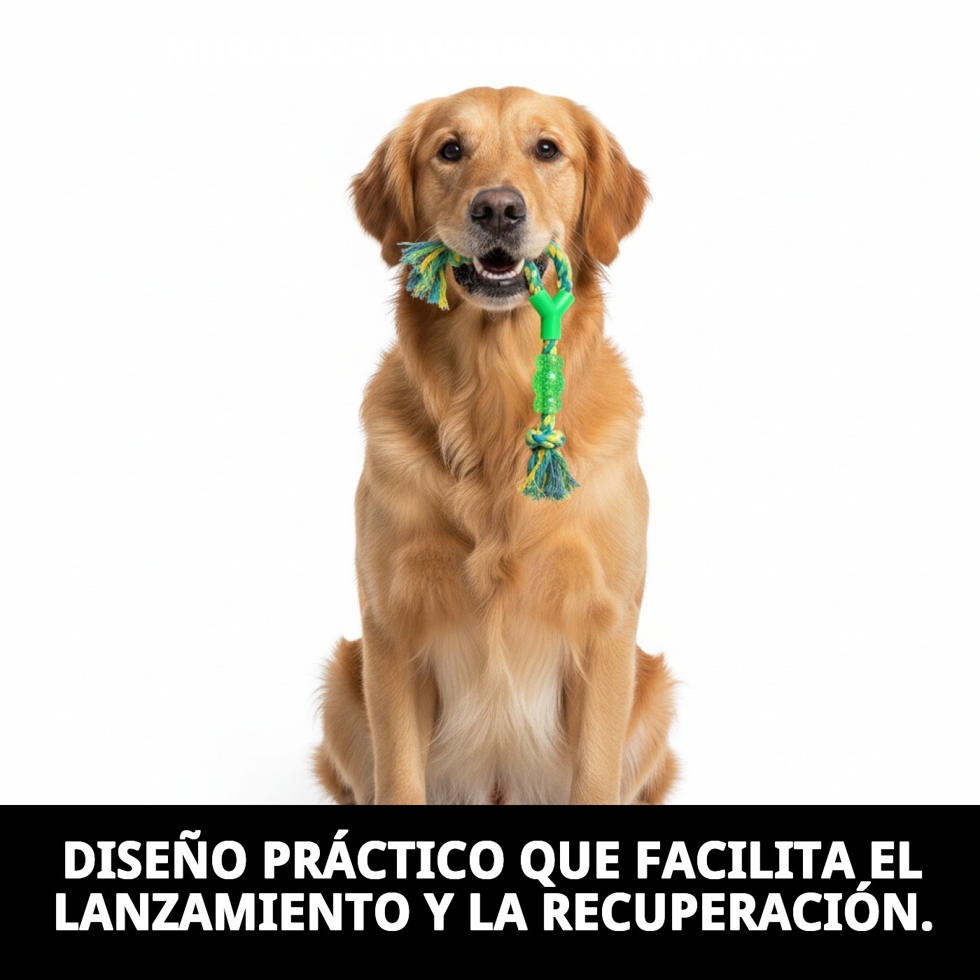 Mordedor Lanzadera WOW 40 cm Moly | Juguete Resistente para Lanzar, Morder y Jugar al Aire Libre