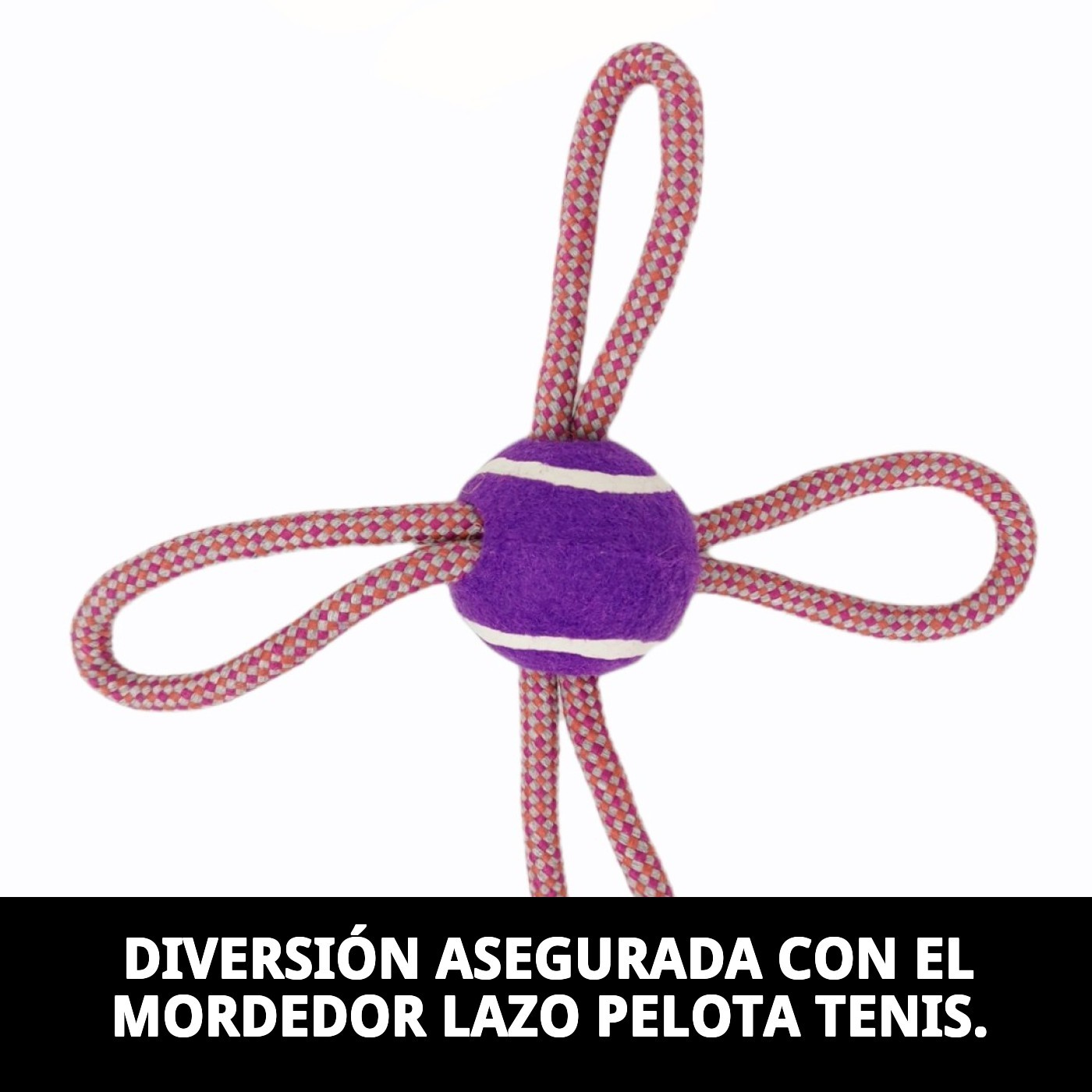 Mordedor Lazo con Pelota de Tenis Autumn 28 cm Moly | Juguete Resistente para Morder, Tirar y Jugar
