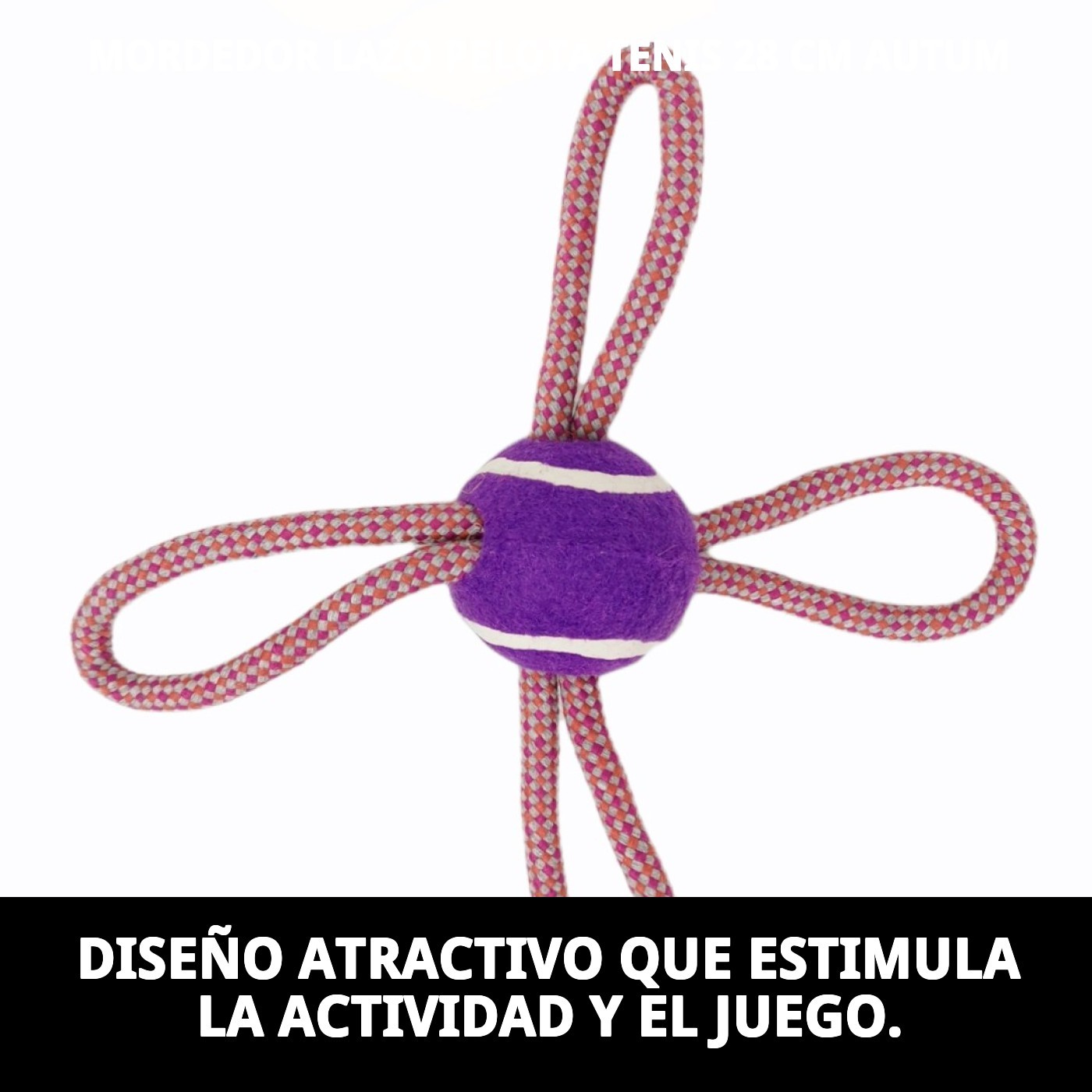 Mordedor Lazo con Pelota de Tenis Autumn 28 cm Moly | Juguete Resistente para Morder, Tirar y Jugar