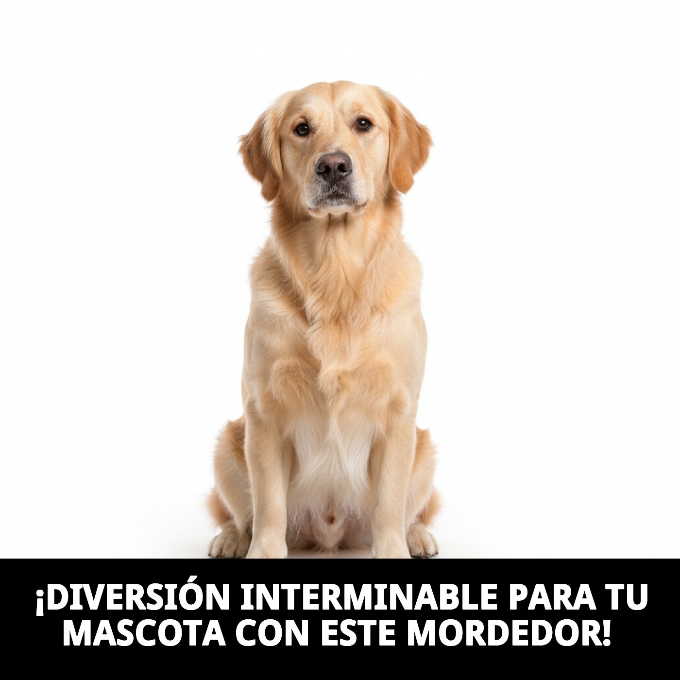 Mordedor Pelota WOW 45 cm Moly | Juguete Resistente con Cuerda para Perros Activos