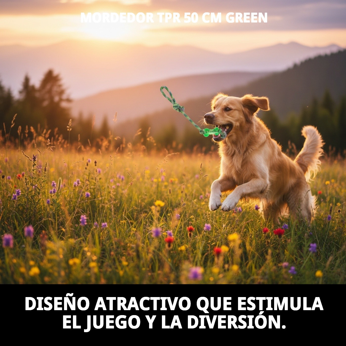 Mordedor TPR 50 cm Green Moly | Juguete XL Resistente para Perros Grandes y Muy Activos