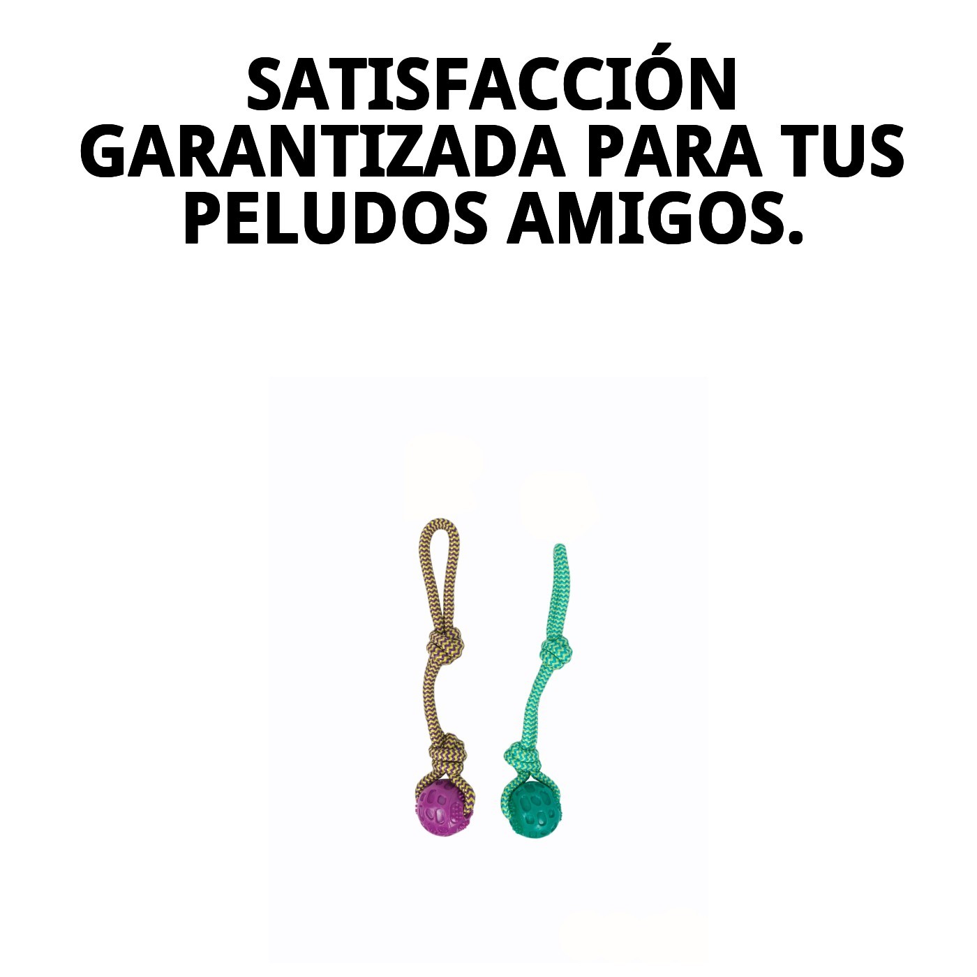 Mordedor TPR Collection Dior Pet Moly | Juguete Resistente, Elegante y Seguro para Perros