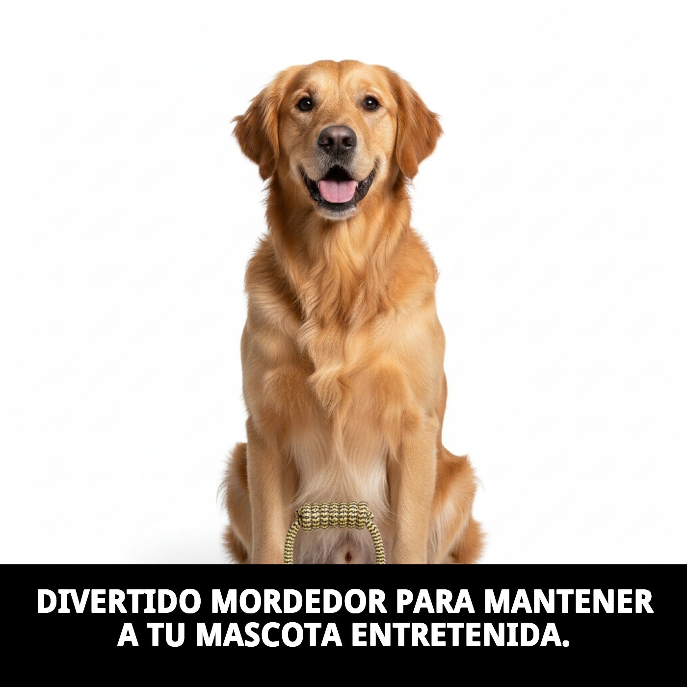 Mordedor TPR Redondo Collection Dior Pet Moly | Juguete Resistente y Elegante para Perros