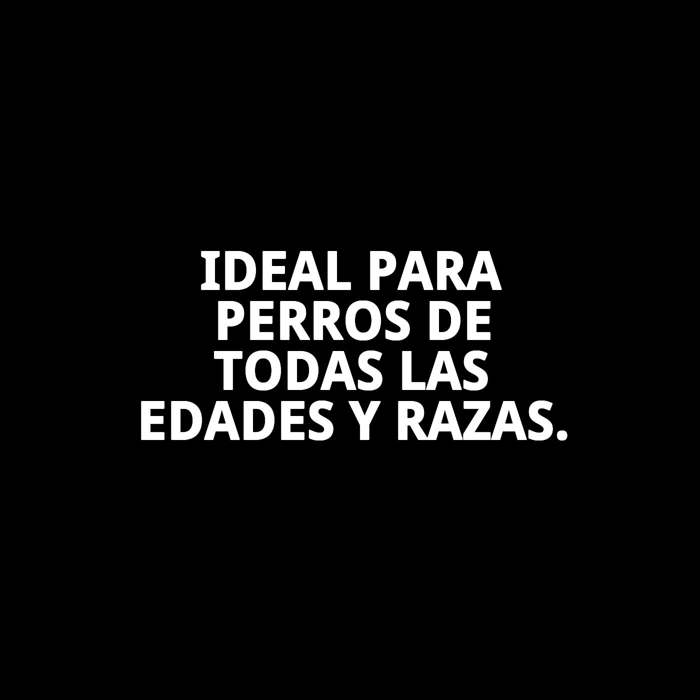 Mordedor TPR Redondo Collection Dior Pet Moly | Juguete Resistente y Elegante para Perros