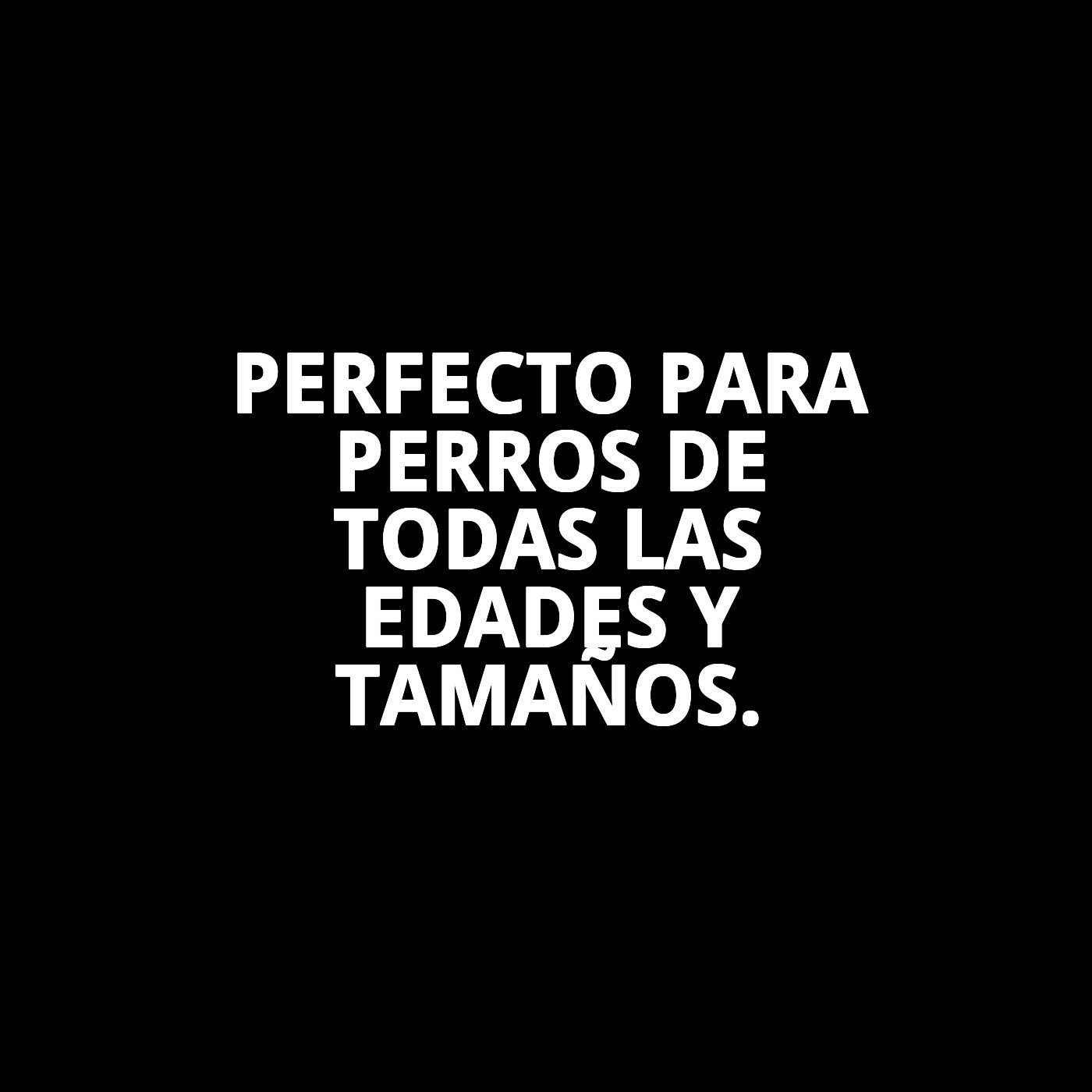 Mordedor Trendy 32 cm Moly | Juguete Resistente y Colorido para Masticar y Jugar