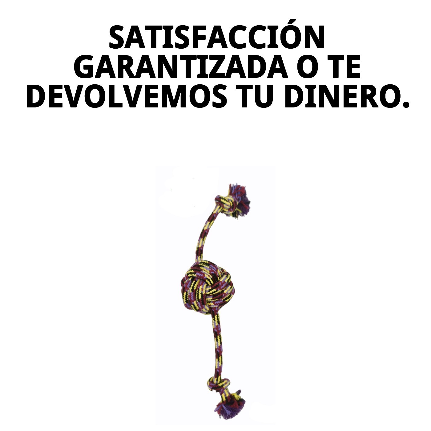 Mordedor Trendy 32 cm Moly | Juguete Resistente y Colorido para Masticar y Jugar