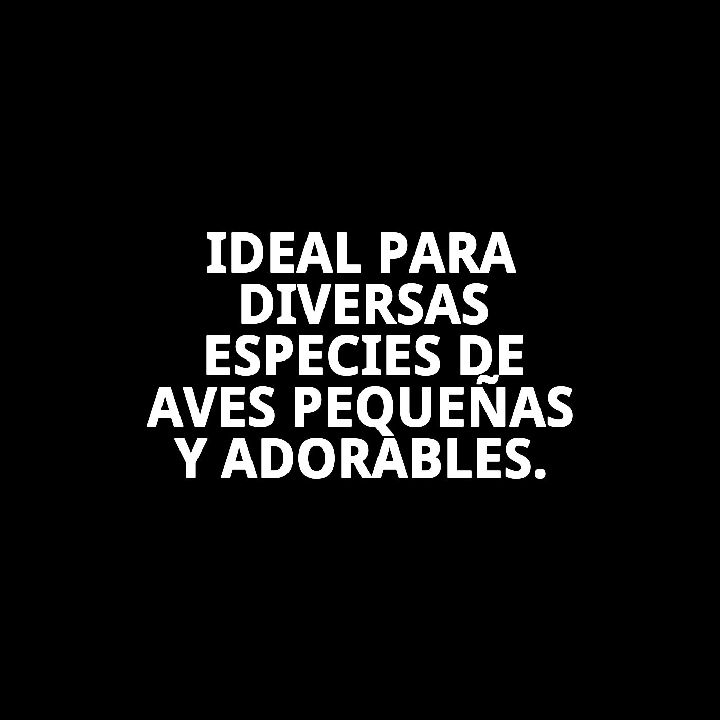 NIDO INTERIOR C/GANCHO METALICO