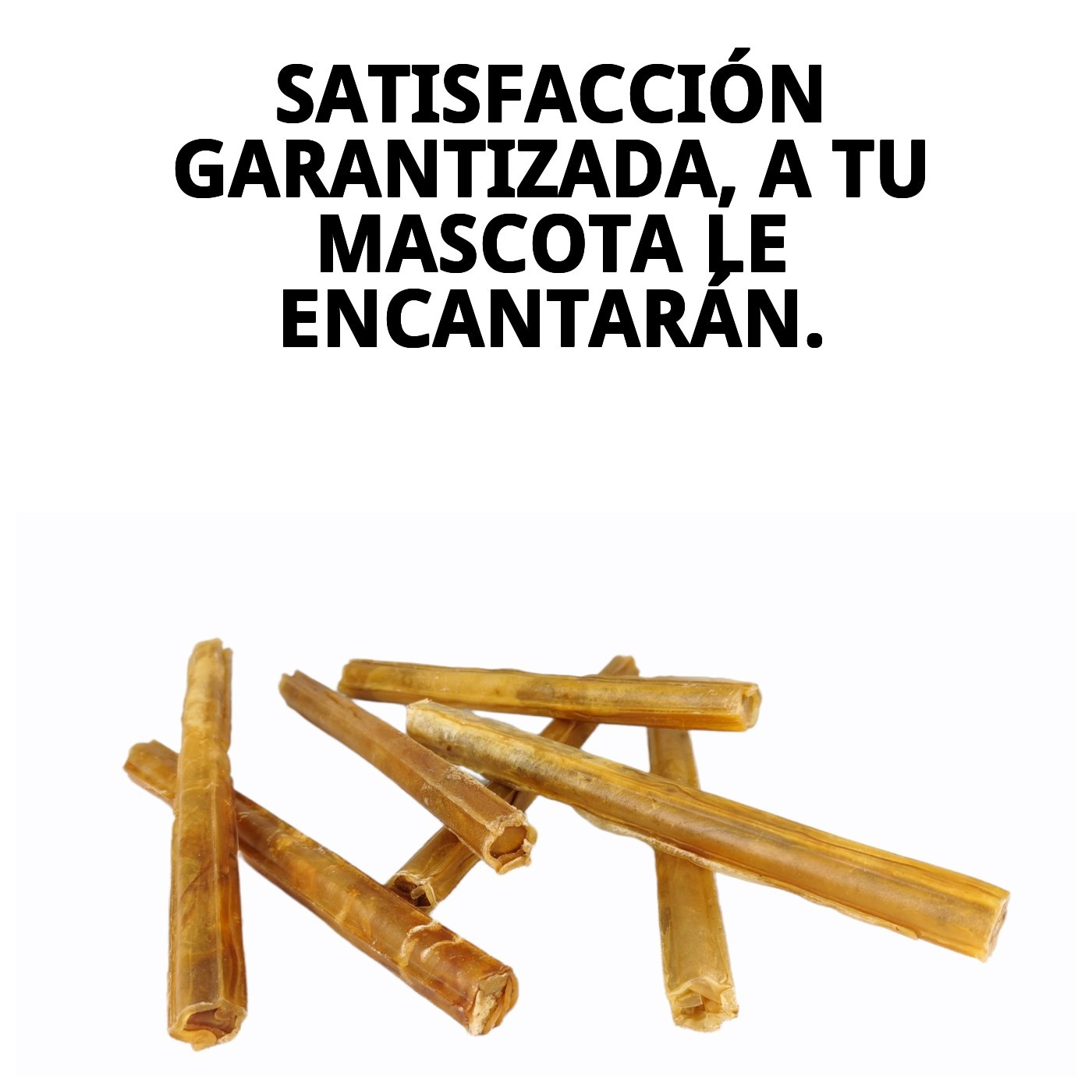 Palos de Piel 25 cm en Bolsa de 10 Unidades | Snack Natural y Resistente para Perros – Moly