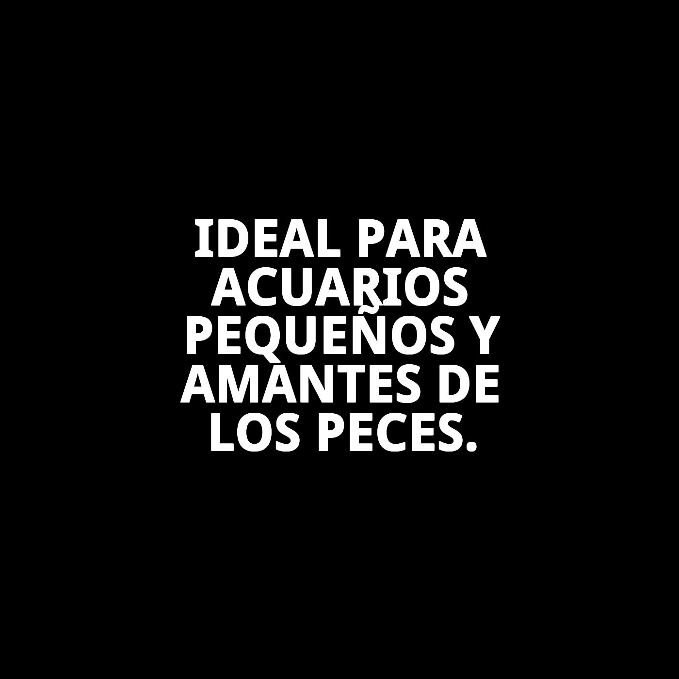 PARIDERA FLOTANTE 2 EN 1 MOLY 21X10X9,5 CM