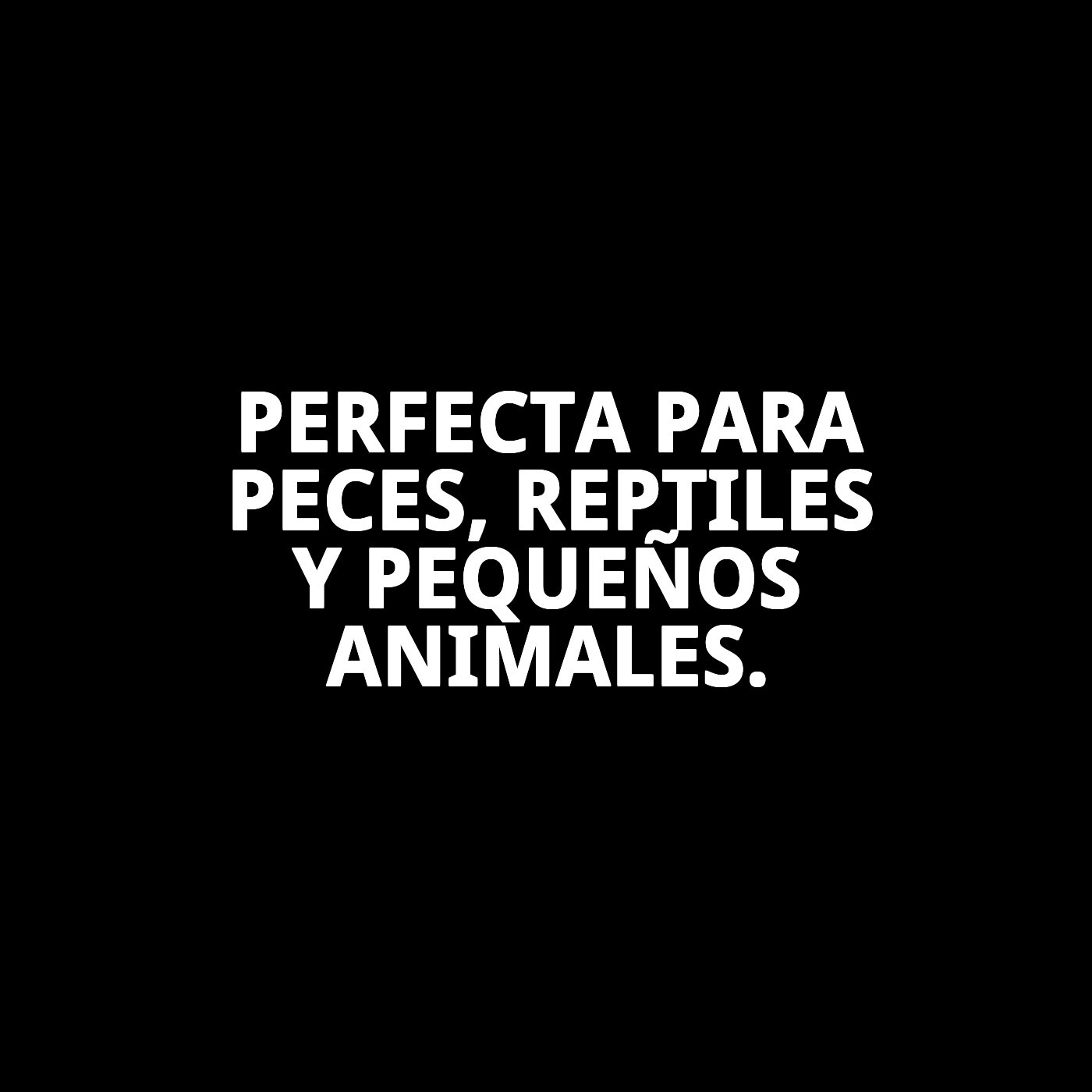 PECERA PLASTICO GRANDE 30X20X21 CM