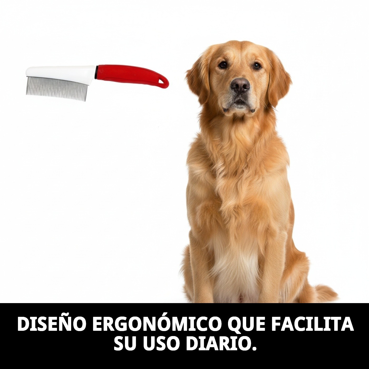 Peine Grande Moly Confort | Peine Profesional para Desenredar y Cuidar Pelajes Medios y Largos