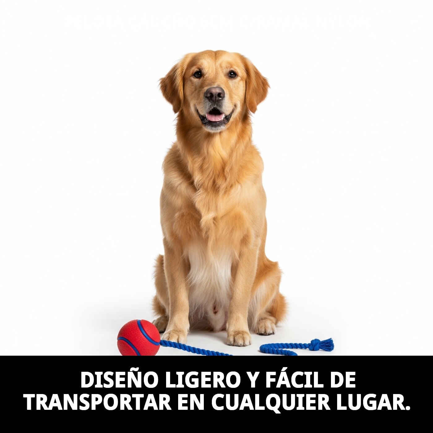 PELOTA CAUCHO 6CM C/RAMAL NYLON