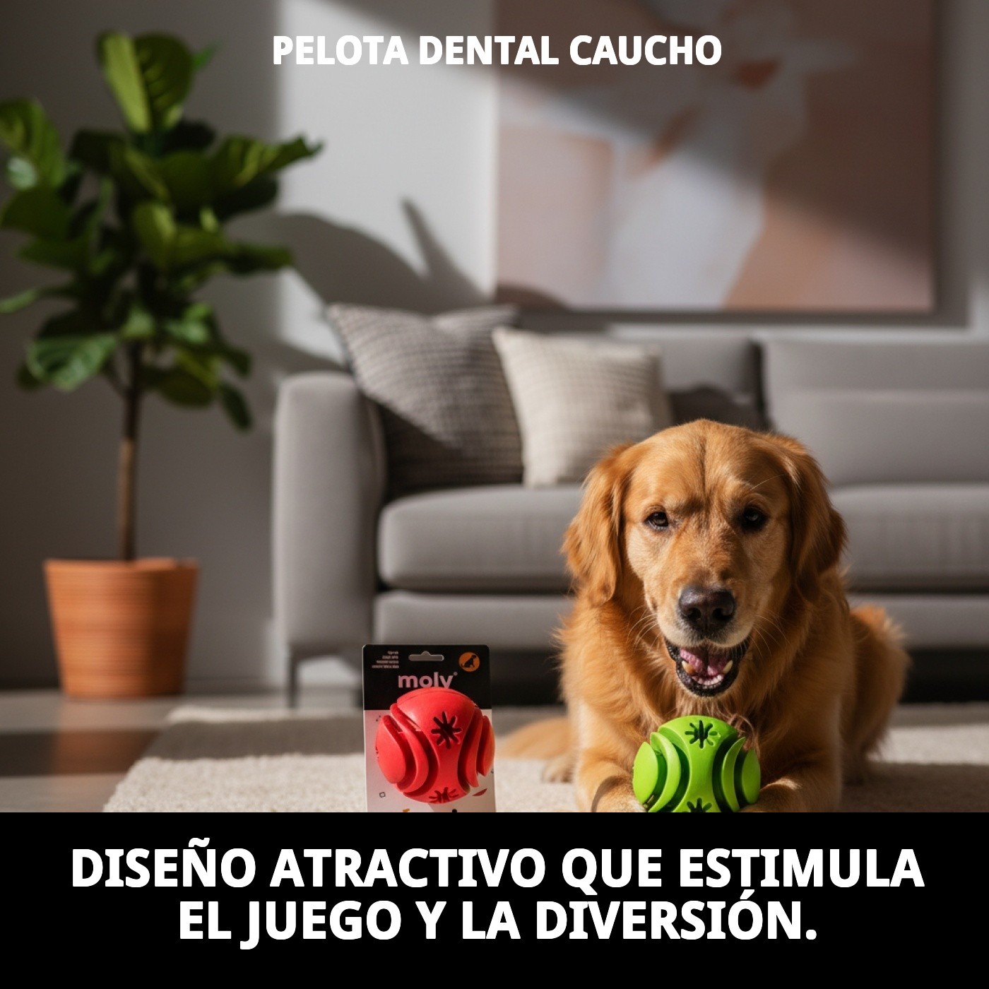 PELOTA DENTAL CAUCHO