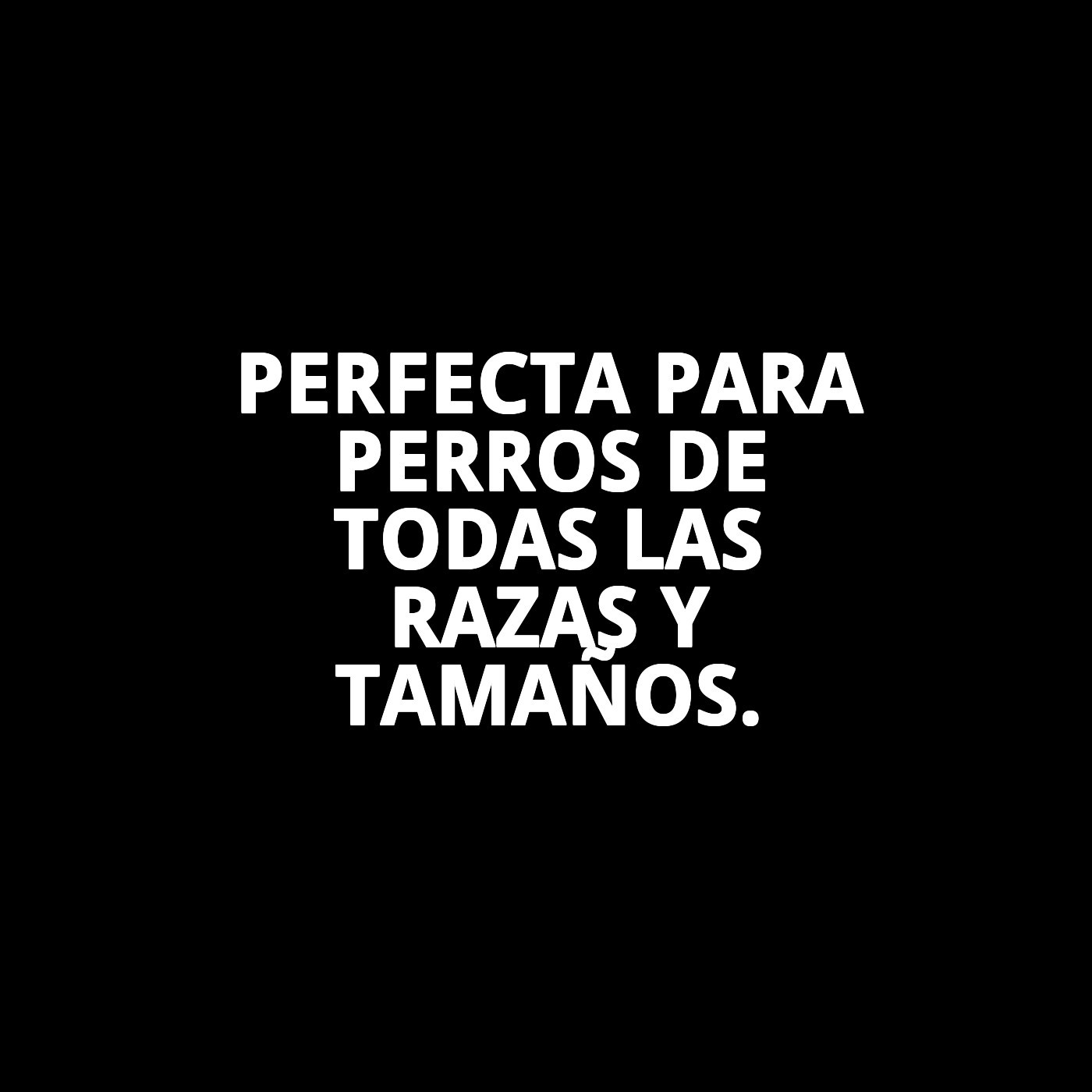 PELOTA DENTAL VINILO 8,5cm