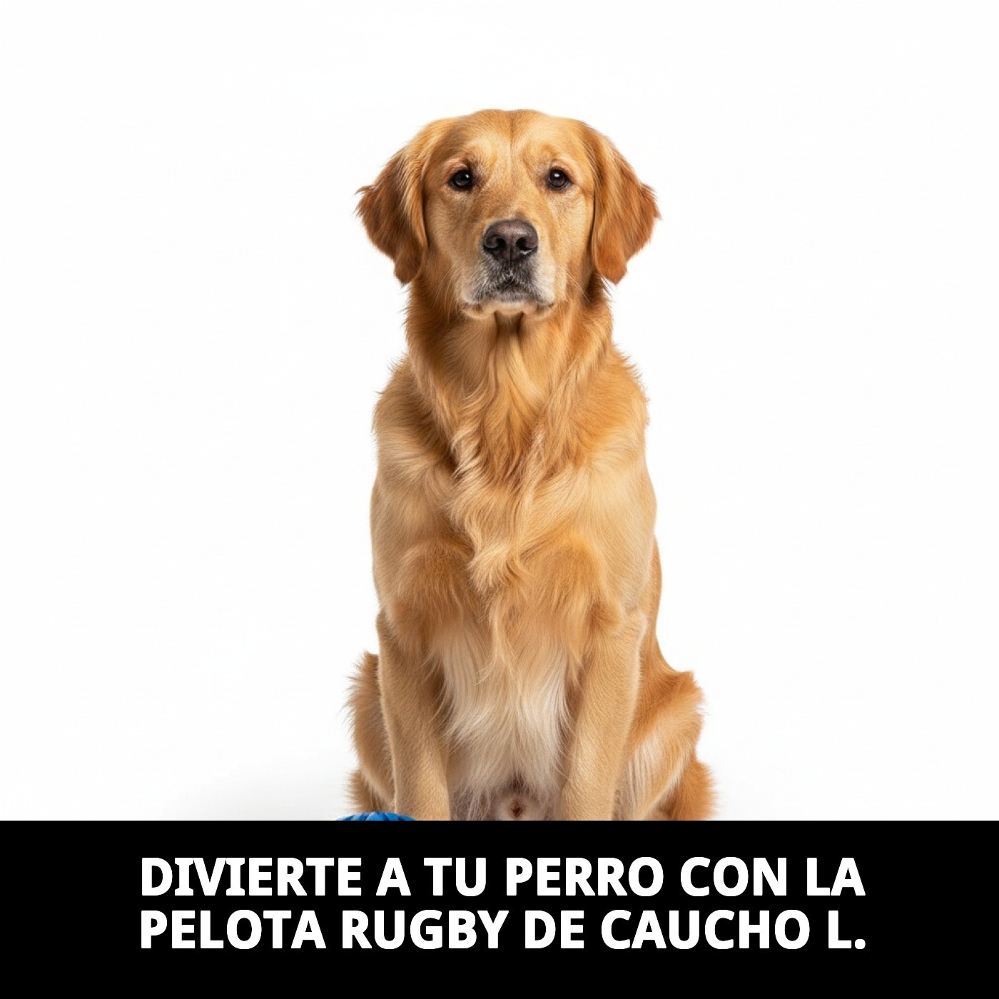 PELOTA RUGBY CAUCHO L
