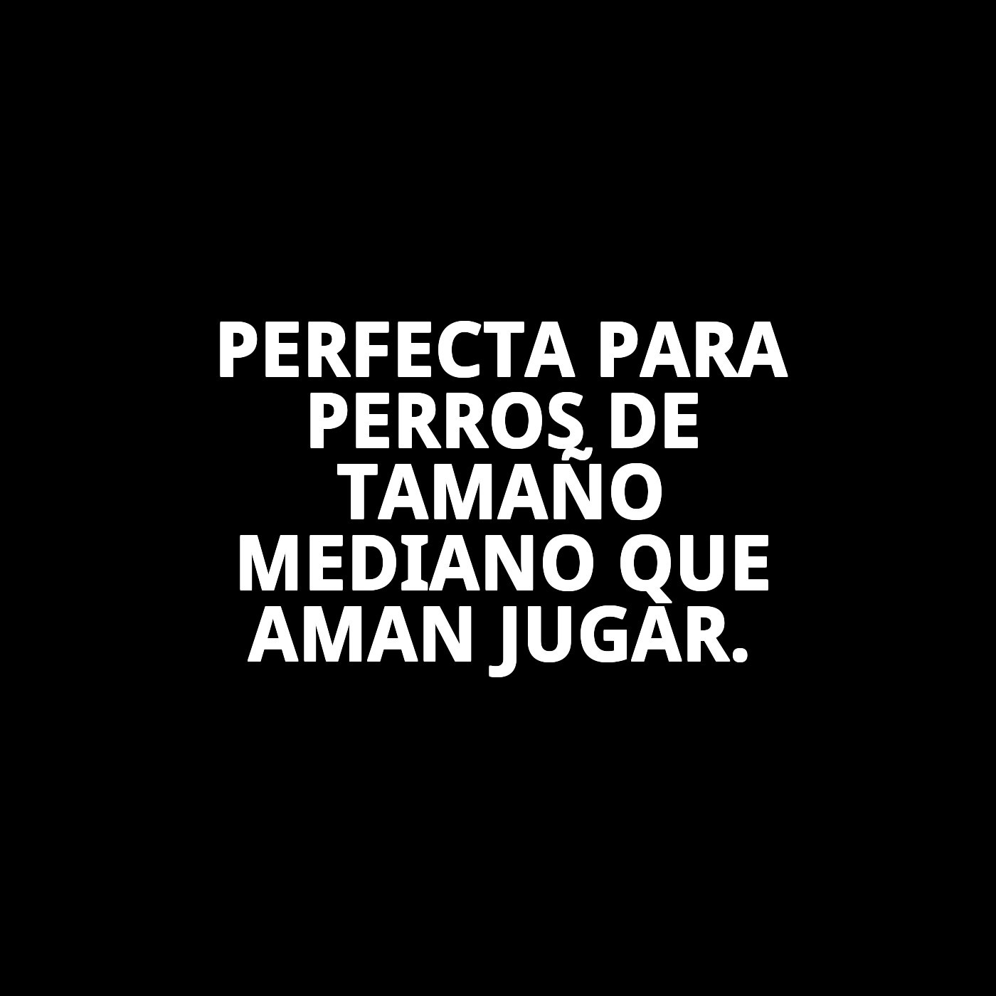 PELOTA RUGBY CAUCHO M