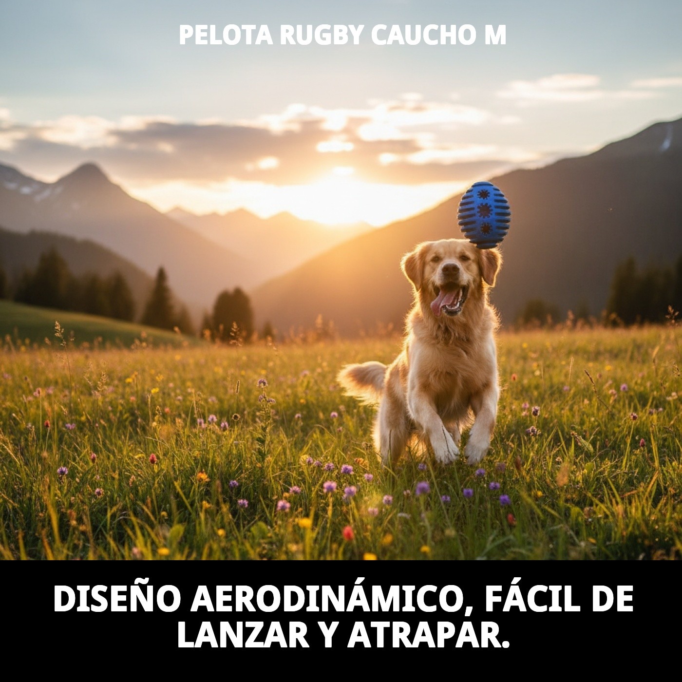 PELOTA RUGBY CAUCHO M